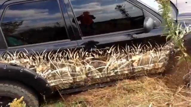 Ford Escape Awd 4wd 4x4