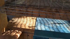 Я отказалась от содержания перепелов в клетке !!!