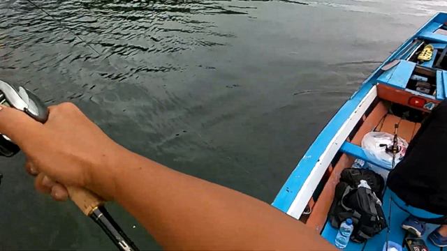 Video Strike Toman terbrutal vs Light tackle(rod telescopic) смотреть онлайн