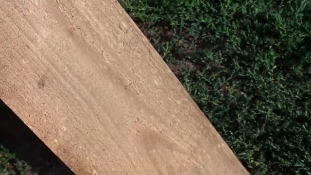 Как выглядит древесина, пораженная жуком-вредителем How wood is attacked by a pest beetle смотреть онлайн