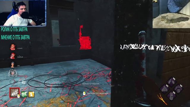 Палач Настоящая ИМБА Dead by Daylight смотреть онлайн
