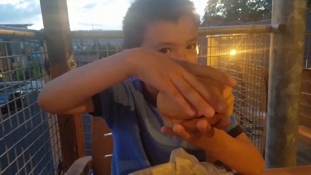 Henry's Happy Burger Review (S1 E8) HUB #burgerreview #hopworks смотреть онлайн