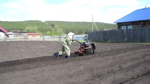 ПОСАДКА КАРТОФЕЛЯ МОТОБЛОКОМ КАСКАД от А до Я, С ИСПОЛЬЗОВАНИЕМ ОКУЧНИКА И ГУСИНЫМИ ЛАПКАМИ смотреть онлайн