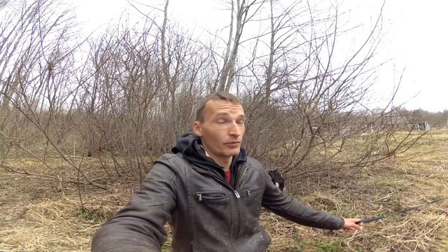 Хутор в лесу - плюсы и минусы. Спустя 1,5 года смотреть онлайн