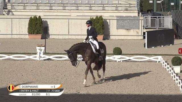 The Dressage Judge Is Blind - Lameness Goes Unoticed By Judge In The Grand Prix Dressage Test смотреть онлайн