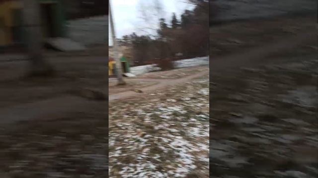 друг делает 2 трюк смотреть онлайн