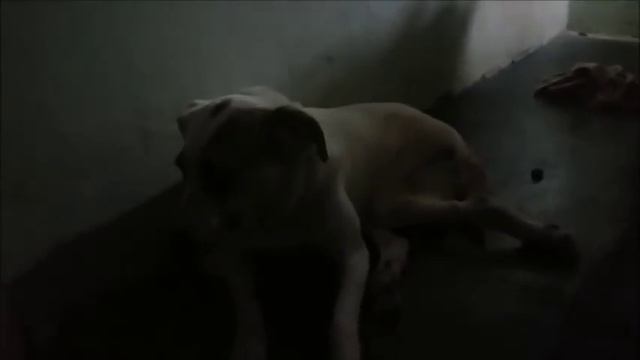 Увидела это и офигела смотреть онлайн