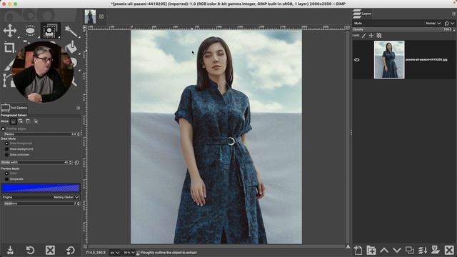 GIMP Foreground Select Tool Made Easy смотреть онлайн