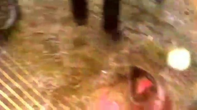 Эндуро Покатушки в Череповце смотреть онлайн