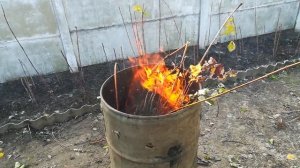 Сжигание растительного мусора в бочке на даче.