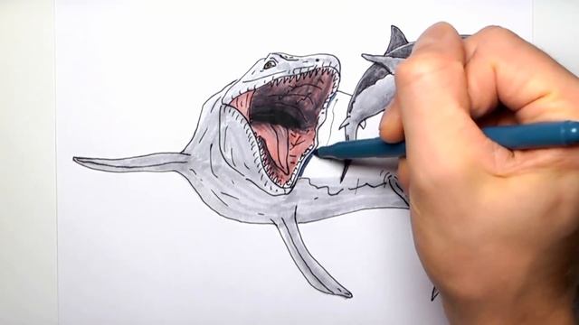 How to Draw the Mosasaur Vs Megalodon Shark - Drawing and Coloring Prehistoric Sea Monsters смотреть онлайн