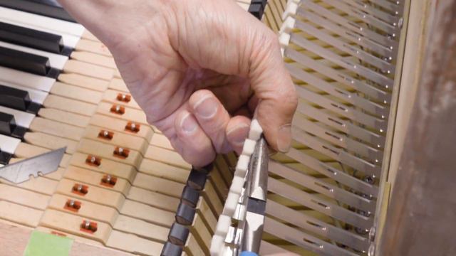 Tech Tip | Adjusting Treble Damper Felts on a Fender Rhodes смотреть онлайн
