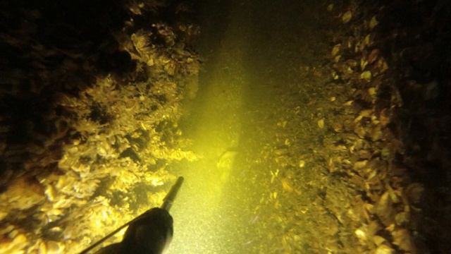 Малые реки ростовской области октябрь 2022 сомики:) подводная охота 2022 охота на сома 2022 смотреть онлайн