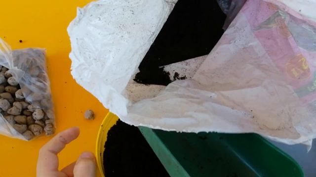 КАК ПОСАДИТЬ АСТРЫ? ДЛЯ ПЛЮШЕВОГО КОТА БАСИКА смотреть онлайн