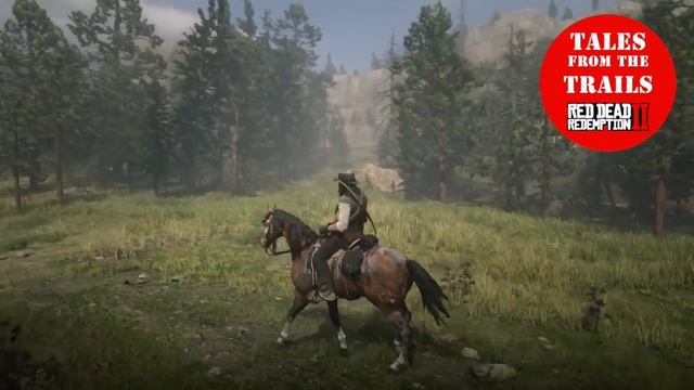 Red Dead Redemption 2: Horse Breeds - Scarred Blanket Appaloosa смотреть онлайн
