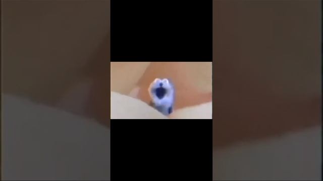 Все виды калла! смотреть онлайн