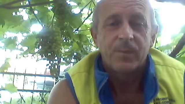 Канал квантовая нумерология Тайна пустыни раскрыта Круги среди растений смотреть онлайн