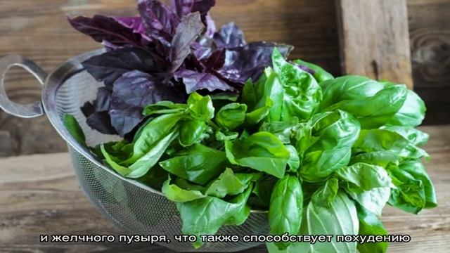 Как готовить и принимать средства из базилика для похудения смотреть онлайн