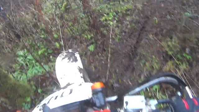 WELS? IRBIS TTR 250 и Suzuki DR250R. Объезд завала на дороге смотреть онлайн