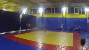 Вольная борьба 8 12 лет