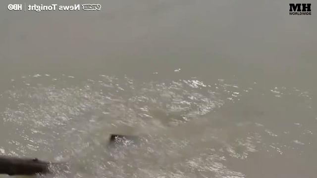 India's Most Polluted River In The World | A River Runs Through Shi*t смотреть онлайн