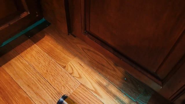 CAT e01 \\ Dyson V15 Detect // What makes it special? смотреть онлайн