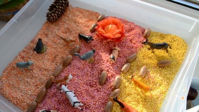 Сенсорная коробка "Осень" . Sensory box Autumn смотреть онлайн