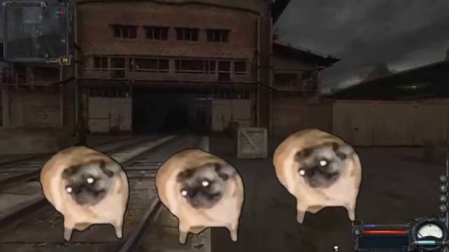 Мопсы танцуют под музыку Stalker ClearSky - Bandit Camp Radio Music 10 часов#Stalker#stalkerclearsk