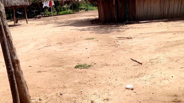 Suzuki rm 65 смотреть онлайн