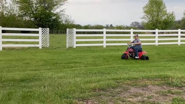 Honda Atc 70 shenanigans смотреть онлайн