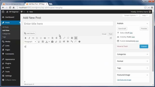 How to Add Special Characters in WordPress Posts смотреть онлайн