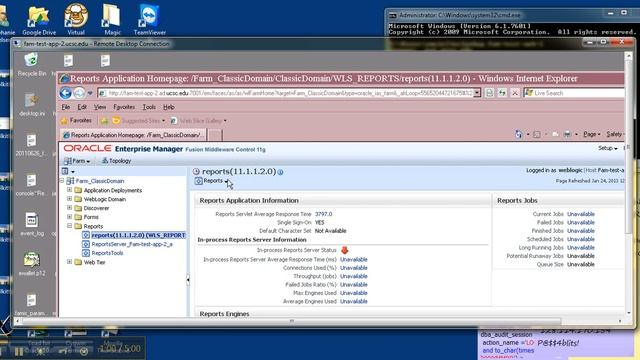 How to Start FAMIS In-process reports server смотреть онлайн