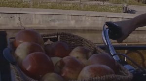 Алма-Ата город детства, город мечта! (песня про Алмату)