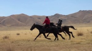 Ансамбль "Тыва" -"Эзир-Кара"(Орел вороной)/Сл.Ч.Кара-Куске, муз.Д.Д.Сат