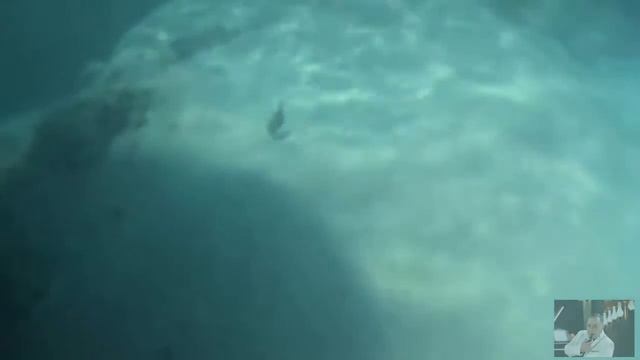 Рифы Андаманского моря смотреть онлайн