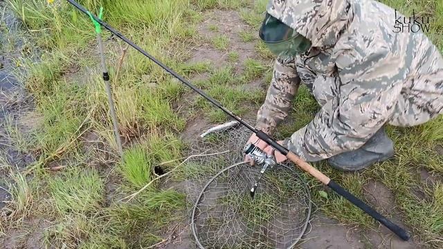 Протока Щучья. Raund 2. Раздуплились по плотве. Рыбалка на фидер в таёжной реке. смотреть онлайн