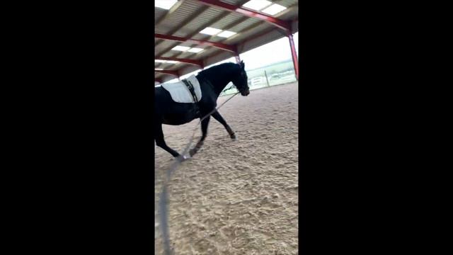 Daisy stretching смотреть онлайн