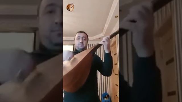 Göyçə Gülü // Solo ifa // Aşıq Kamandar Lətif oğlu // #musiqi #saz #sazhavaları #qarazurna смотреть онлайн