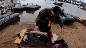 Как ПРАВИЛЬНО ПОТРОШИТЬ ТРЕСКУ. «How to PROPERLY GUT a COD.»