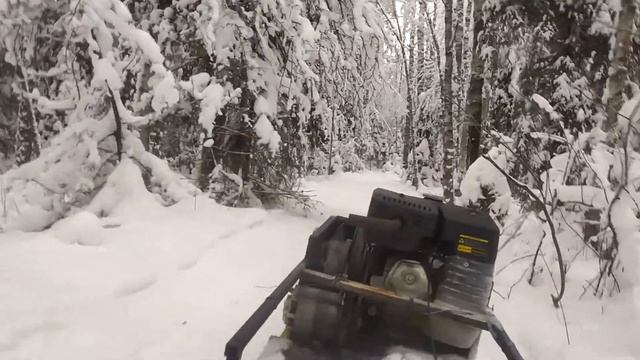 мотобуксировщик, прогулка по лесу. смотреть онлайн