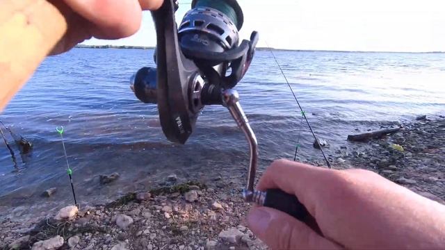 Рыбалка на леща в июне, Чебоксарское вдхр. Не успеваю таскать на один ! Лещи не дают собрать фидер. смотреть онлайн