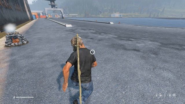 Ultimate DayZ Beginner Guide 2023 смотреть онлайн