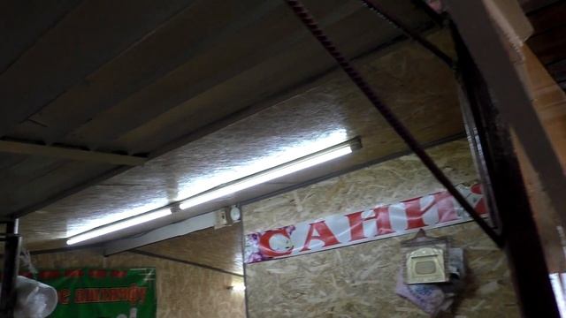 Мода и Стиль