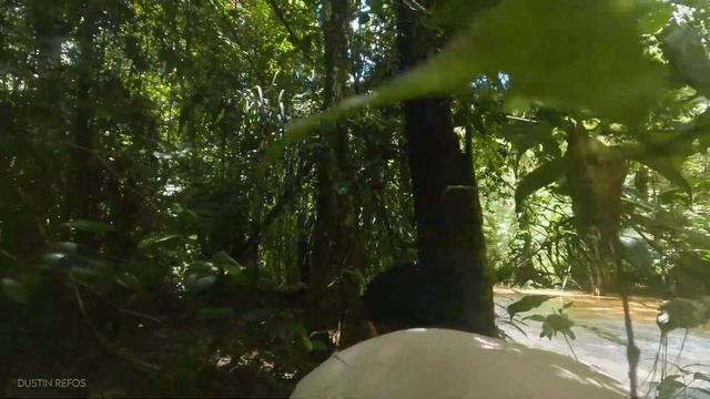 🌿 Crossing This Jungle Rapid in Suriname 🇸🇷 смотреть онлайн