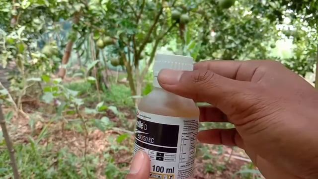 insektisida Nurelle D | Racun ulat смотреть онлайн