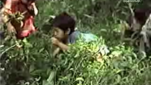 Познаём наш мир: Сон смотреть онлайн