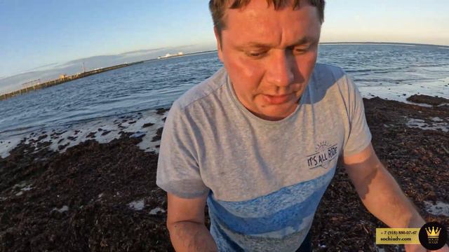 ОПАСНАЯ ДОМИНИКАНА (ПУНТА КАНА) | ДЕНЬ 2: По уши в водорослях и падение с пальмы #СОЧИЮДВ | Туризм смотреть онлайн