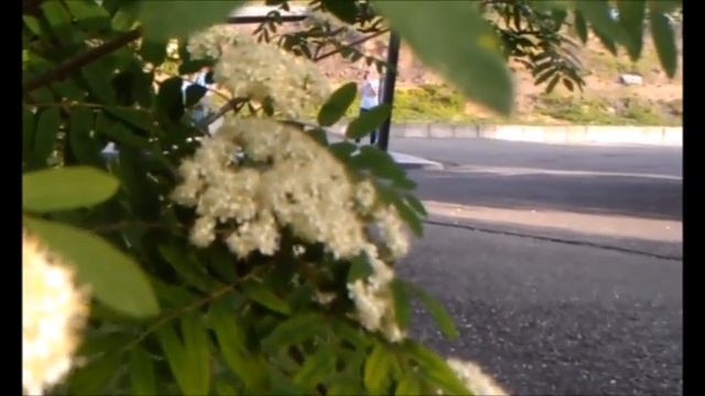 квест для подруги 2 смотреть онлайн