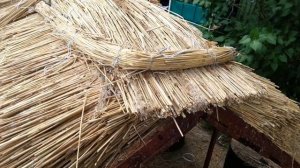 Монтаж камышовой крыши. Монтаж конька из камыша. Кровля из соломы.