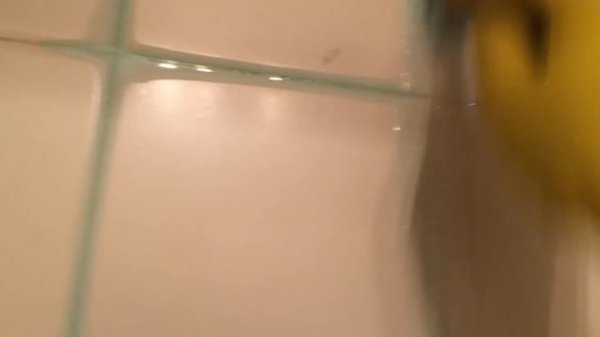 Cleaning Tip: How to clean tile floors and white grout lines|Fast and easy!